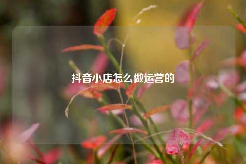 抖音小店怎么做运营的