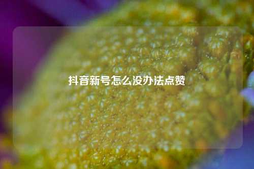 抖音新号怎么没办法点赞
