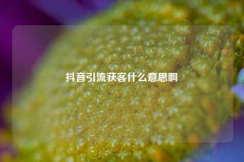 抖音引流获客什么意思啊