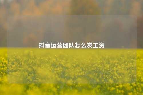 抖音运营团队怎么发工资
