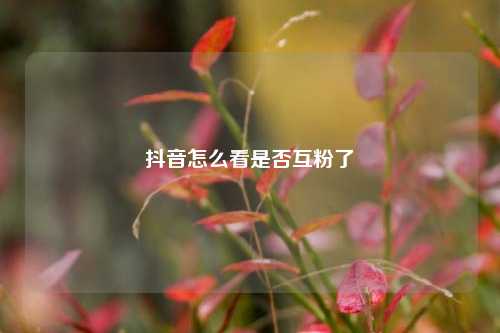 抖音怎么看是否互粉了