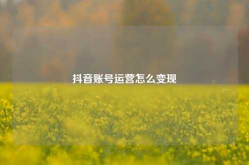 抖音账号运营怎么变现