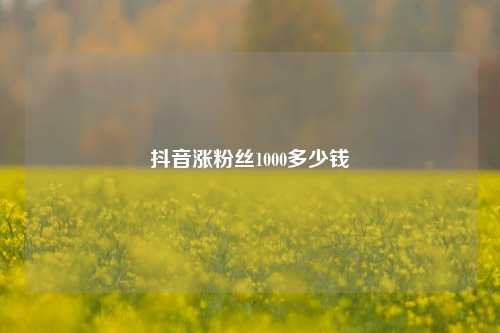 抖音涨粉丝1000多少钱