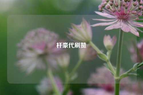 杆豪代刷赞