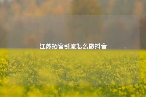 江苏拓客引流怎么做抖音