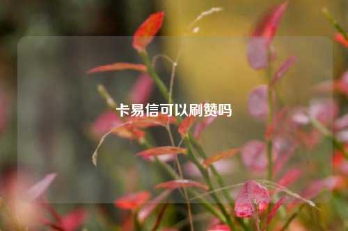 卡易信可以刷赞吗
