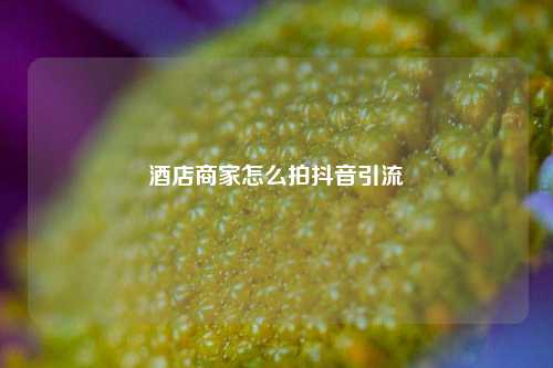 酒店商家怎么拍抖音引流