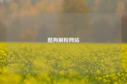 酷狗刷粉网站