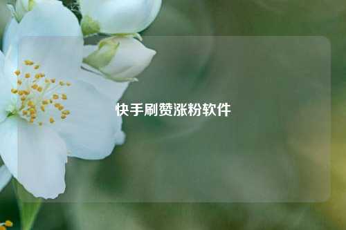 快手刷赞涨粉软件