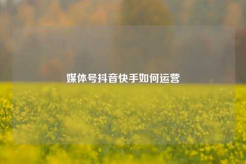 媒体号抖音快手如何运营