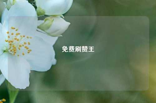 免费刷赞王