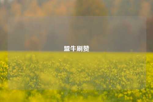 盟牛刷赞