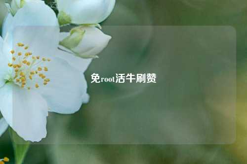 免root活牛刷赞