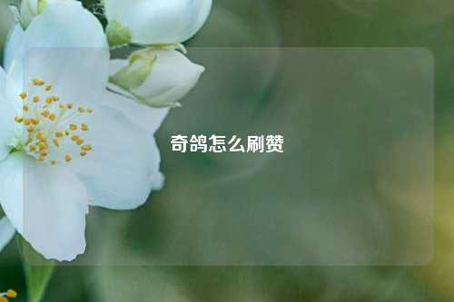 奇鸽怎么刷赞