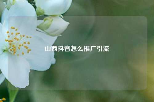 山西抖音怎么推广引流