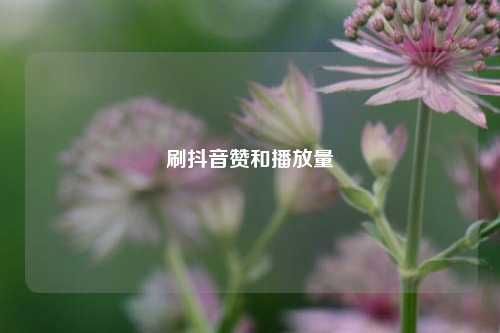 刷抖音赞和播放量