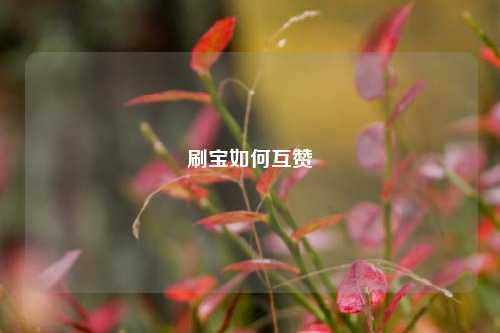刷宝如何互赞