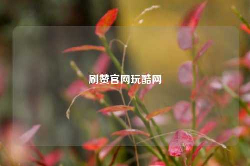 刷赞官网玩酷网