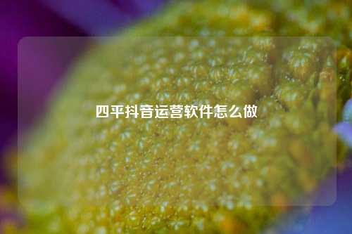 四平抖音运营软件怎么做