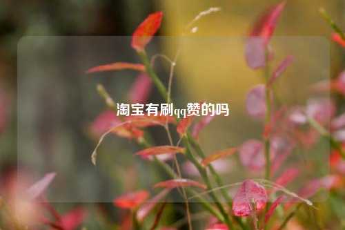 淘宝有刷qq赞的吗