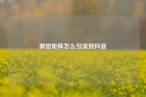 微信矩阵怎么引流到抖音