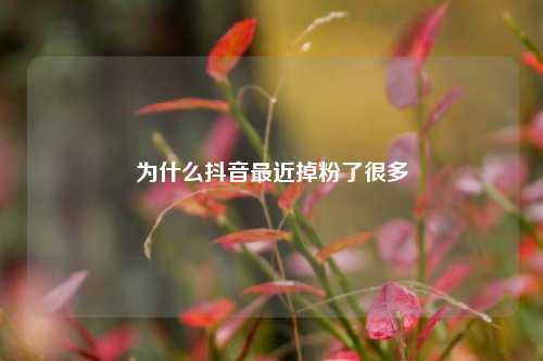 为什么抖音最近掉粉了很多