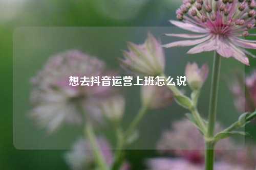 想去抖音运营上班怎么说